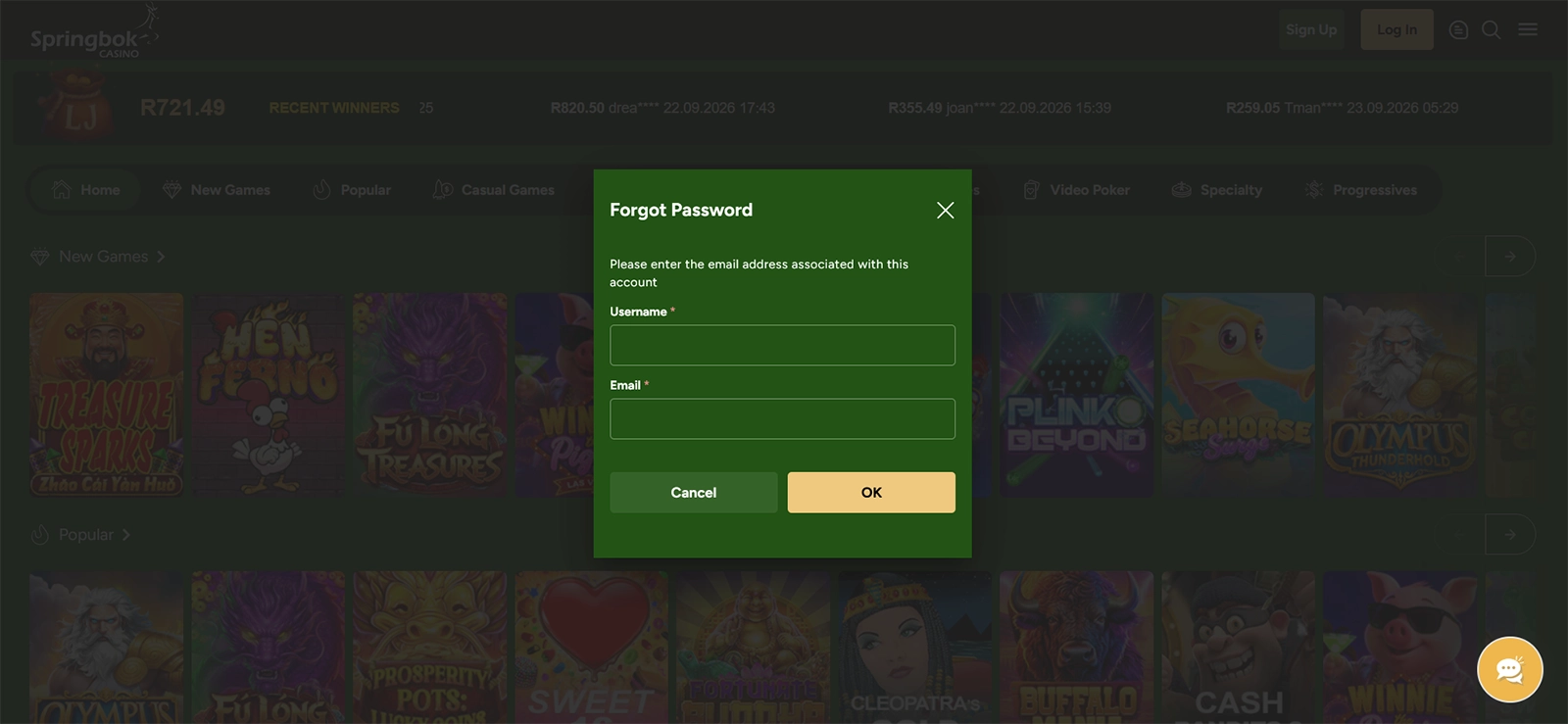 Springbok casino Forgot password form