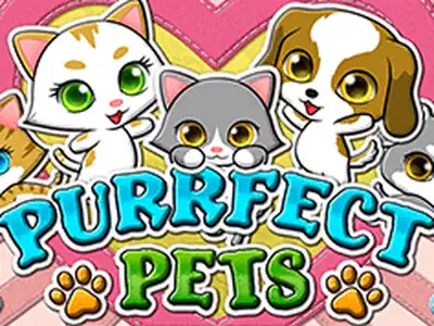 Grafika slotu Purrfect Pets
