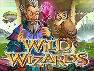 Grafika slotu Wild Wizards